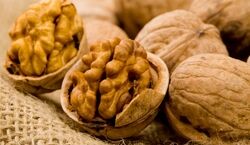 قبل از خواب گردو بخورید | خواص بی نظیر گردو که نمی دانستید 