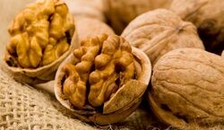 قبل از خواب گردو بخورید | خواص بی نظیر گردو که نمی دانستید 