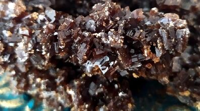 نبات سوخته بخورید | درمان فوری این بیماری ها با نبات سوخته + فیلم