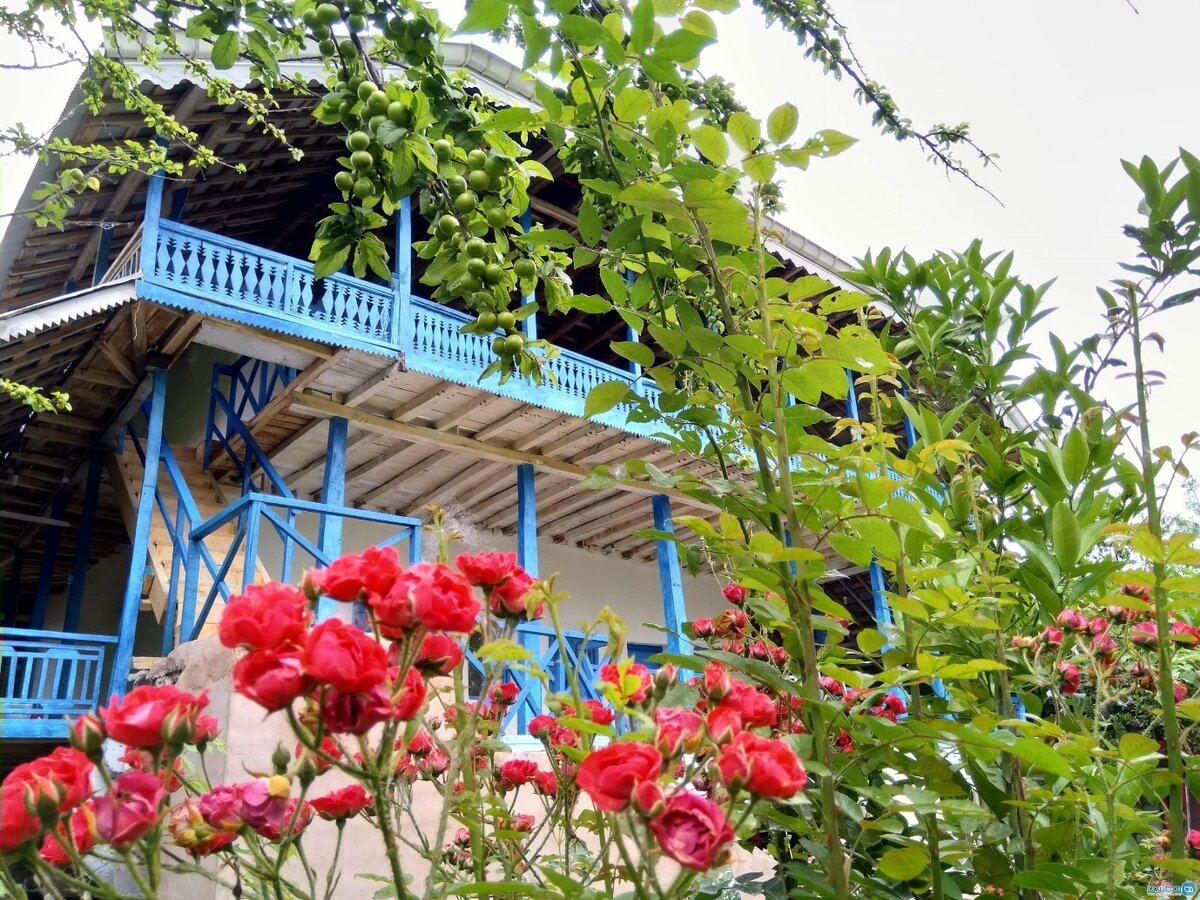 اقامتگاه های بوم‌ گردی لاهیجان