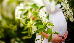 بهترین و بدترین ماه سال برای بارداری کدام است؟‌ 
