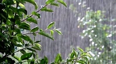 منتظر بارش شدید باران باشید | ورود سامانه بارشی جدید از فردا جمعه 7 دی 1403!