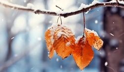 هواشناسی برای ۴ استان هشدار صادر کرد + جزئیات 