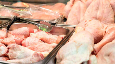 قیمت مرغ کاهش می یابد؟ | جدیدترین تغییرات قیمت مرغ اعلام شد