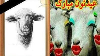 اس ام اس خنده دار و سرکاری عید قربان | پیامک خنده دار + متن 