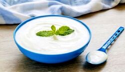 (ویدیو) ماست بخوریم یا نه؟ | نحوه درست مصرف ماست 