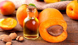  روغن هسته زردآلو؛ شگفتانه طبیعی برای داشتن بدن سالم 
