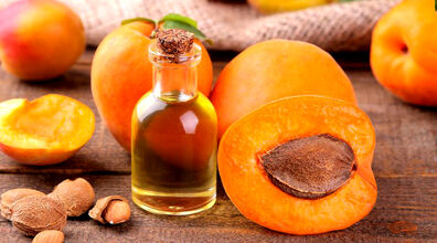  روغن هسته زردآلو؛ شگفتانه طبیعی برای داشتن بدن سالم 