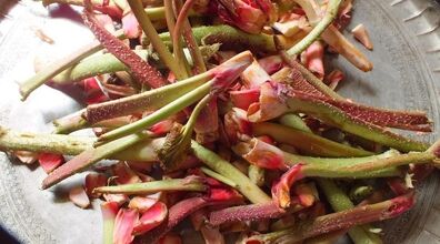 با ریواس مربا درست کن! | طرز تهیه مربای ریواس خانگی و مقوی
