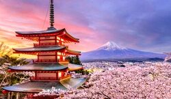 جاهای دیدنی ژاپن برای سفر | جاهای دیدنی ژاپن + عکس و آدرس
