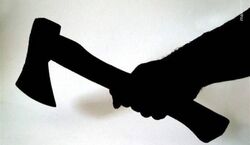نویسنده ایرانی همسرش را به قتل رساند+ عکس و ماجرای قتل*