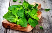 عرق نعنا درجه یک رو بدون دستگاه و تو خونه درست کن! + طرز تهیه