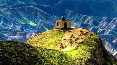 هشدار به گردشگران شمال کشور | هجوم حشرات سمی به استان گلستان