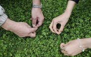  واقعا عدد ۱۳ و «سیزده بدر» نحسن؟ + توضیحات 