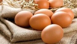 تخم مرغ رو فریز کن خراب نشه! | روشهای نگهداری از تخم مرغ