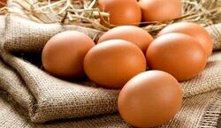 تخم مرغ رو فریز کن خراب نشه! | روشهای نگهداری از تخم مرغ
