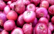  پیاز بهترین مسکن برای کمر درد + روش مصرف 
