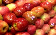 میوه هایی که پوست براق دارن رو  به هیچ عنوان نخرید!