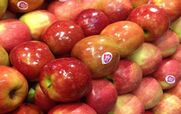 میوه هایی که پوست براق دارن رو  به هیچ عنوان نخرید!