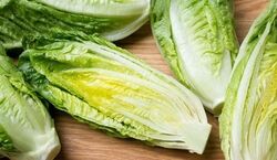 این همه برای لاغر شدن سالاد کاهو می خوریم؛ تاثیری هم داره؟