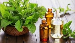 خواص 31 نوع عرق گیاهی رو اینجا بخون